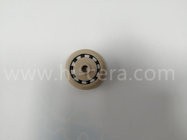 塑料(liào)軸承(chéng)