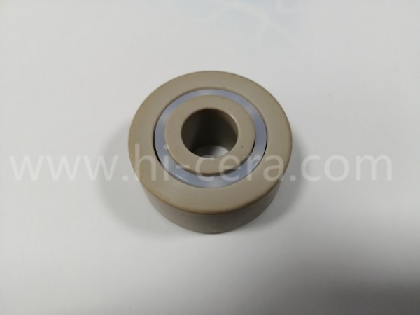 塑(sù)料軸承(chéng)
